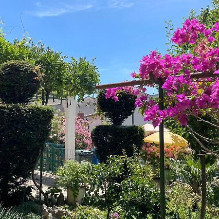 Apartman Jokic Apartman Selce Kültér fotó